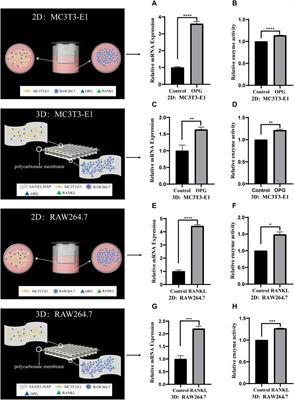 3D bioprinting technology to construct bone reconstruction research model and its feasibility evaluation